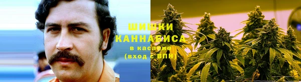spice Абаза