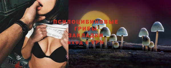 ешки Абинск