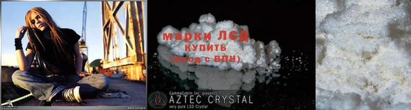 ПСИЛОЦИБИНОВЫЕ ГРИБЫ Михайлов
