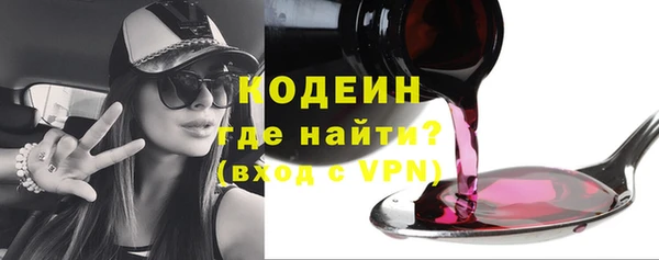 ПСИЛОЦИБИНОВЫЕ ГРИБЫ Михайлов