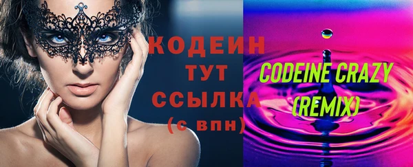 ПСИЛОЦИБИНОВЫЕ ГРИБЫ Михайлов