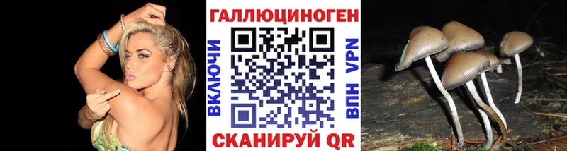 где купить наркоту  нарко площадка состав  Псилоцибиновые грибы ЛСД  Урень 